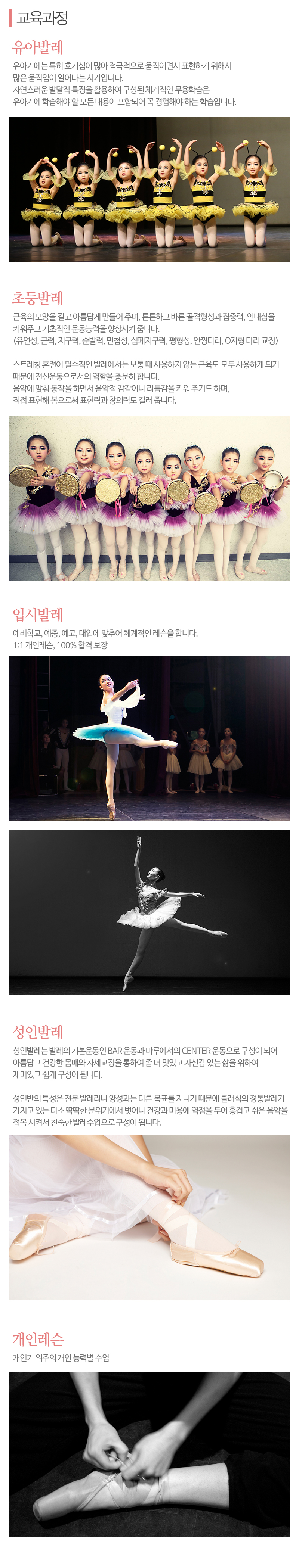 예종발레스쿨_내용